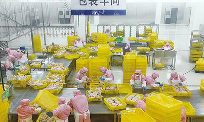 今日高邮-位于甘垛镇的扬州阳雪食品禽肉食品加工项目日前建成试投产